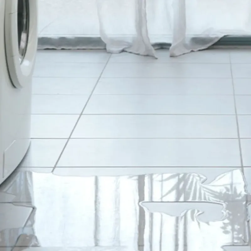 Appliance Leak Cleanup in Whitefield, NH