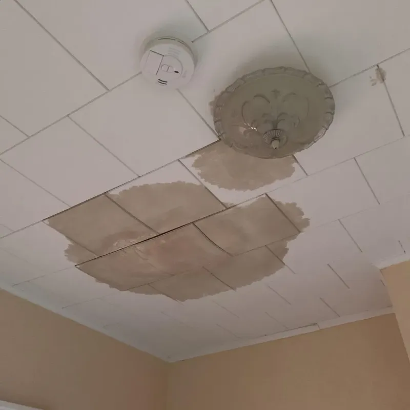 Ceiling Water Damage Repair in Whitefield, NH
