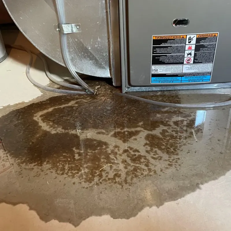 Pipe Burst and Leak Restoration in Whitefield, NH